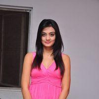 Nikitha Narayan Latest Stills | Picture 126201